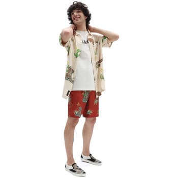 Men's Swimwear Vans Red