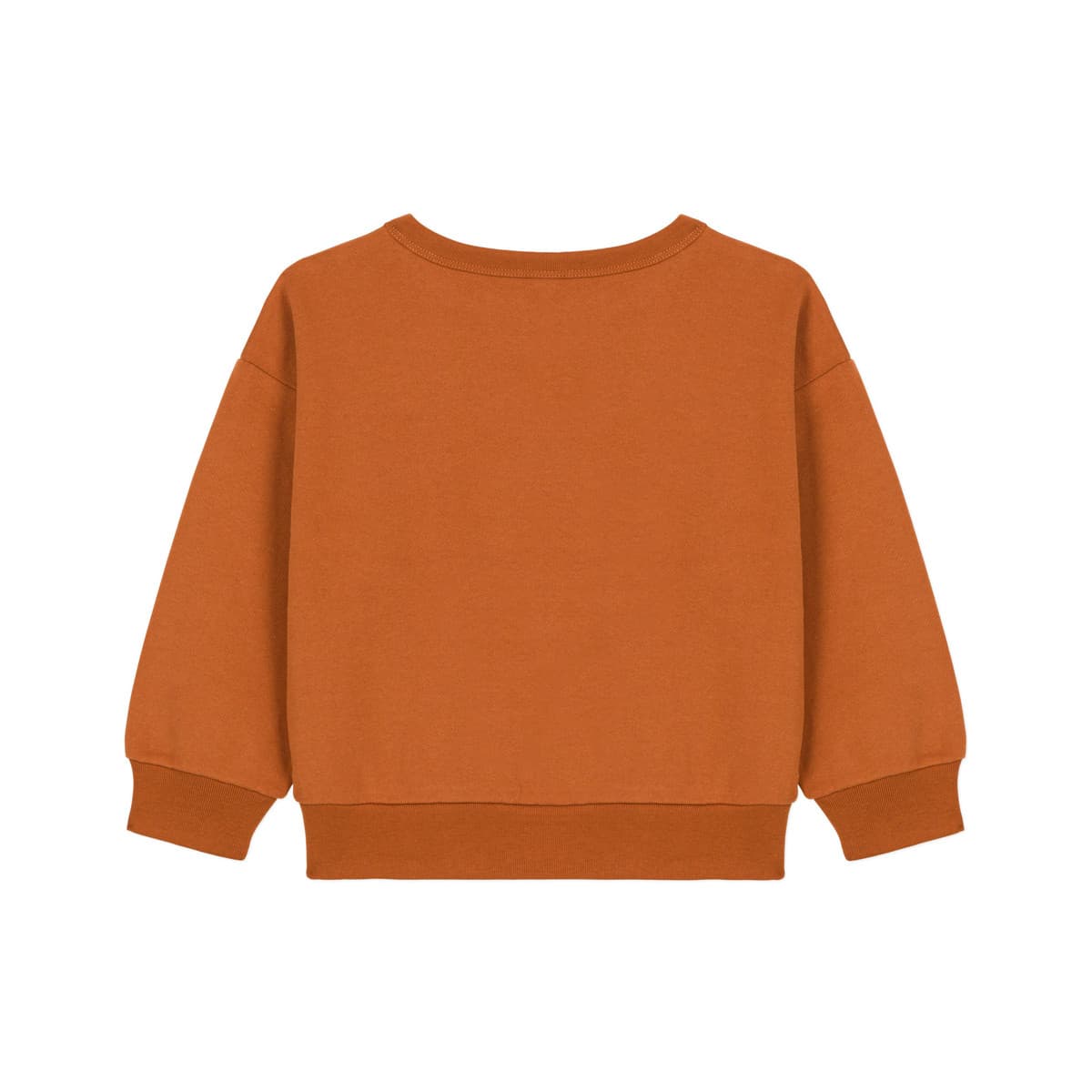 Boys' T-Shirts Petit Bateau Brown