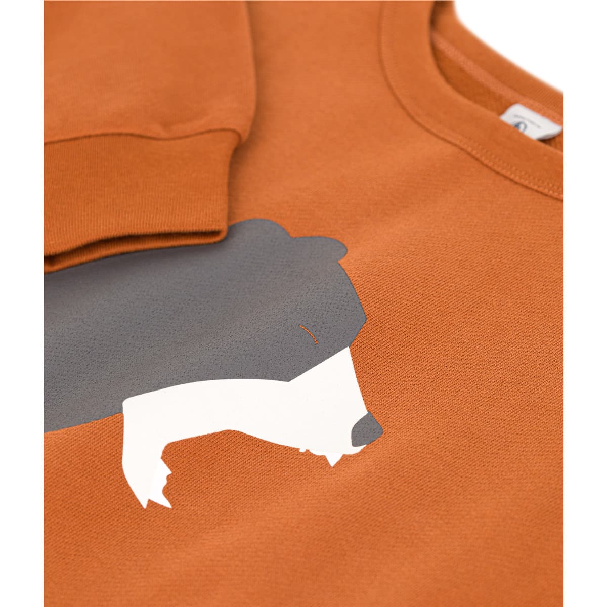 Boys' T-Shirts Petit Bateau Brown