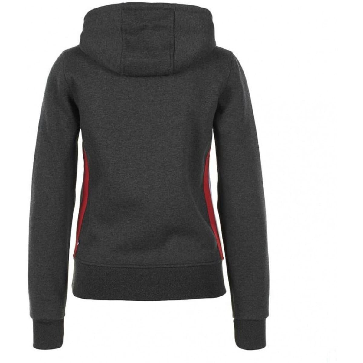 Women's Sweatshirts Peak Mountain Gray