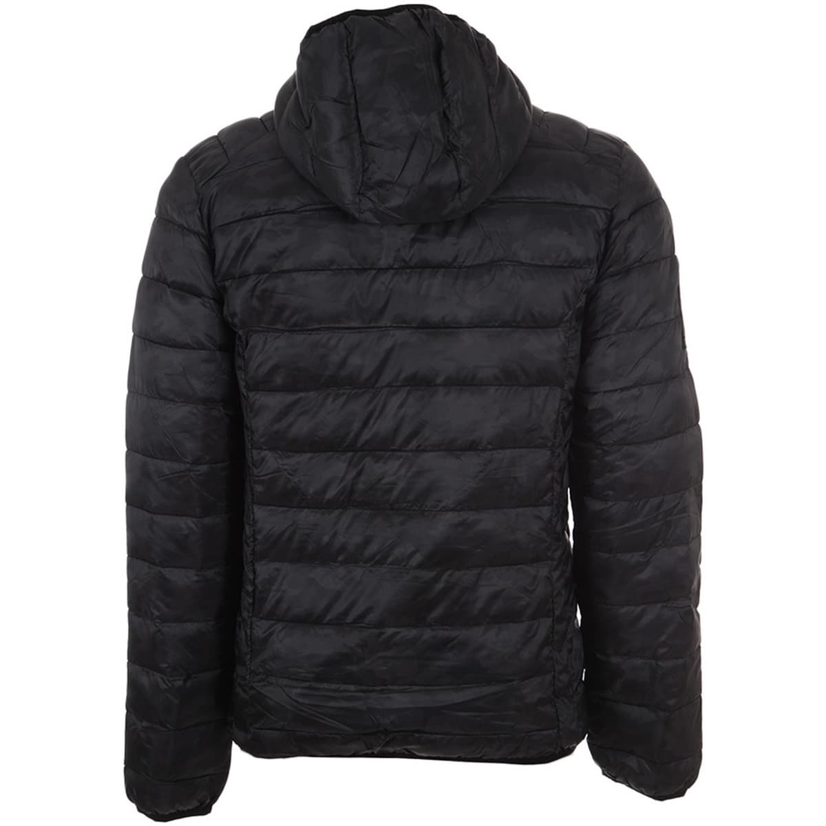 Men's Jackets Harry Kayn Black