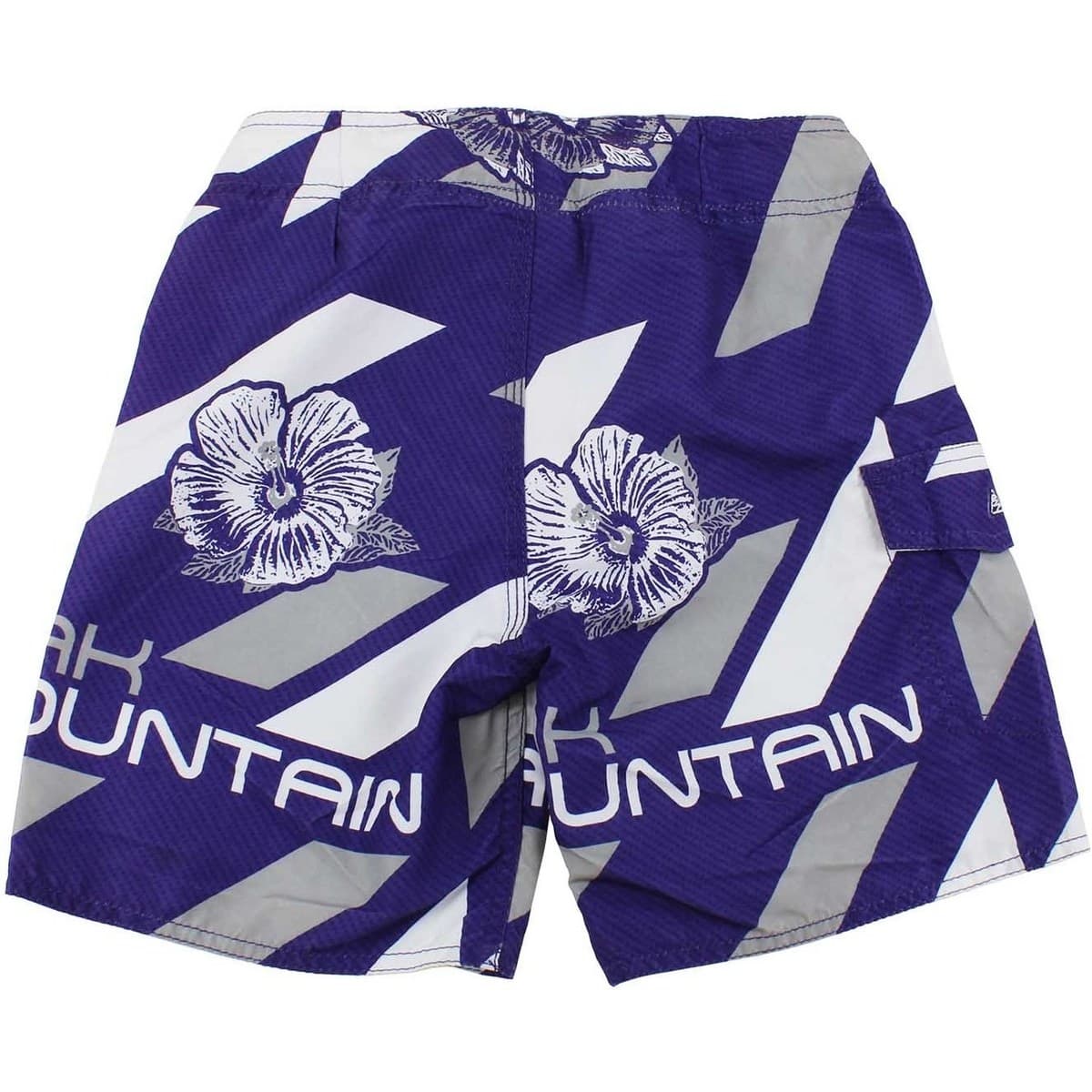 Boys' Swimwear Peak Mountain Purple