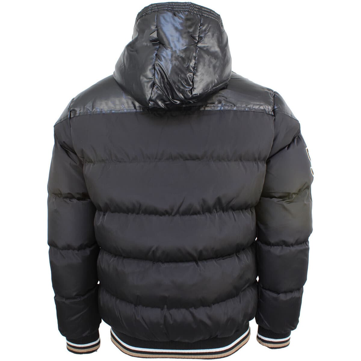 Boys' Jackets Srk Brown