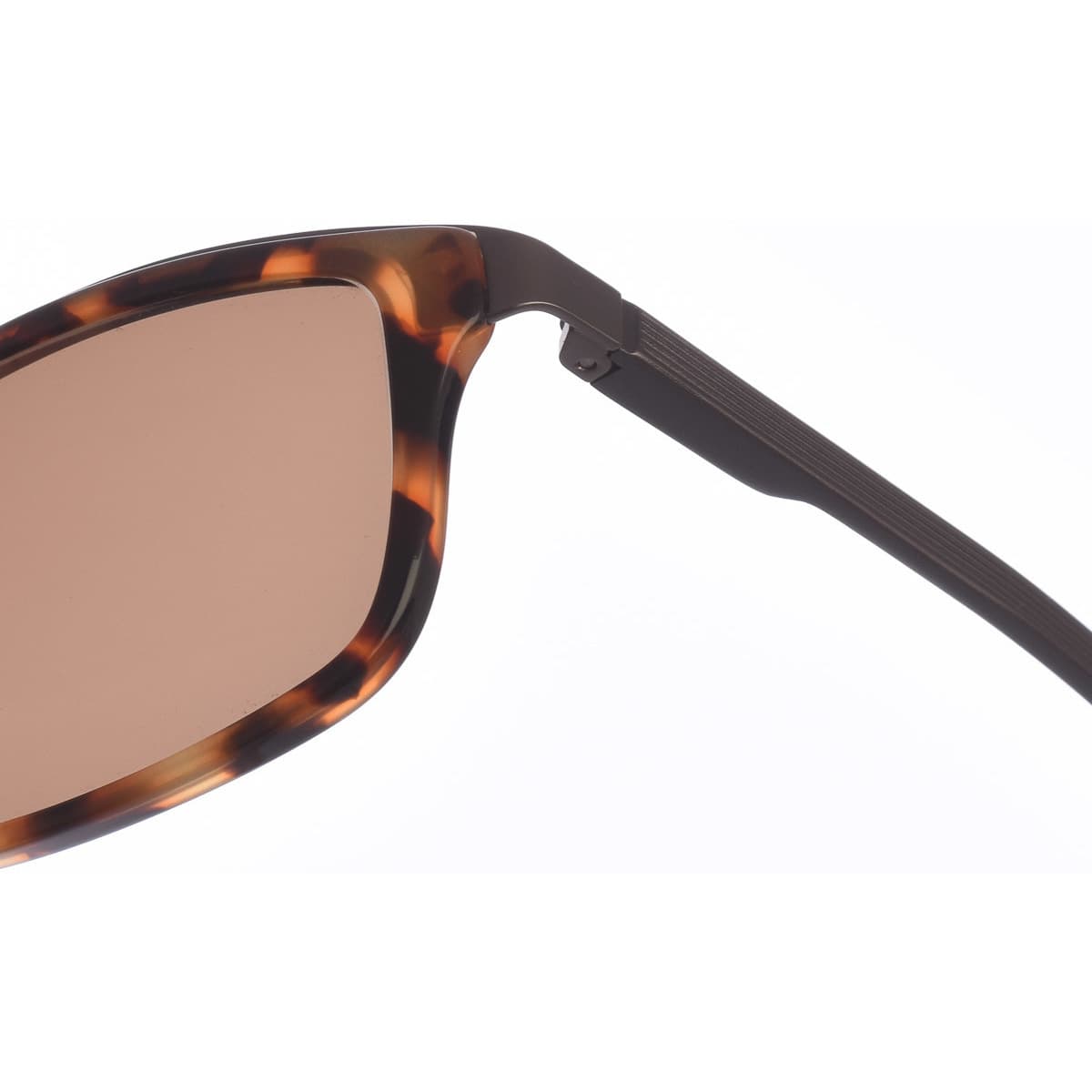 Men's Sunglasses Zen Multicolor
