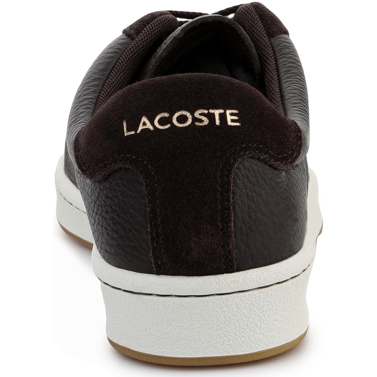 Men's Sneakers Lacoste Brown