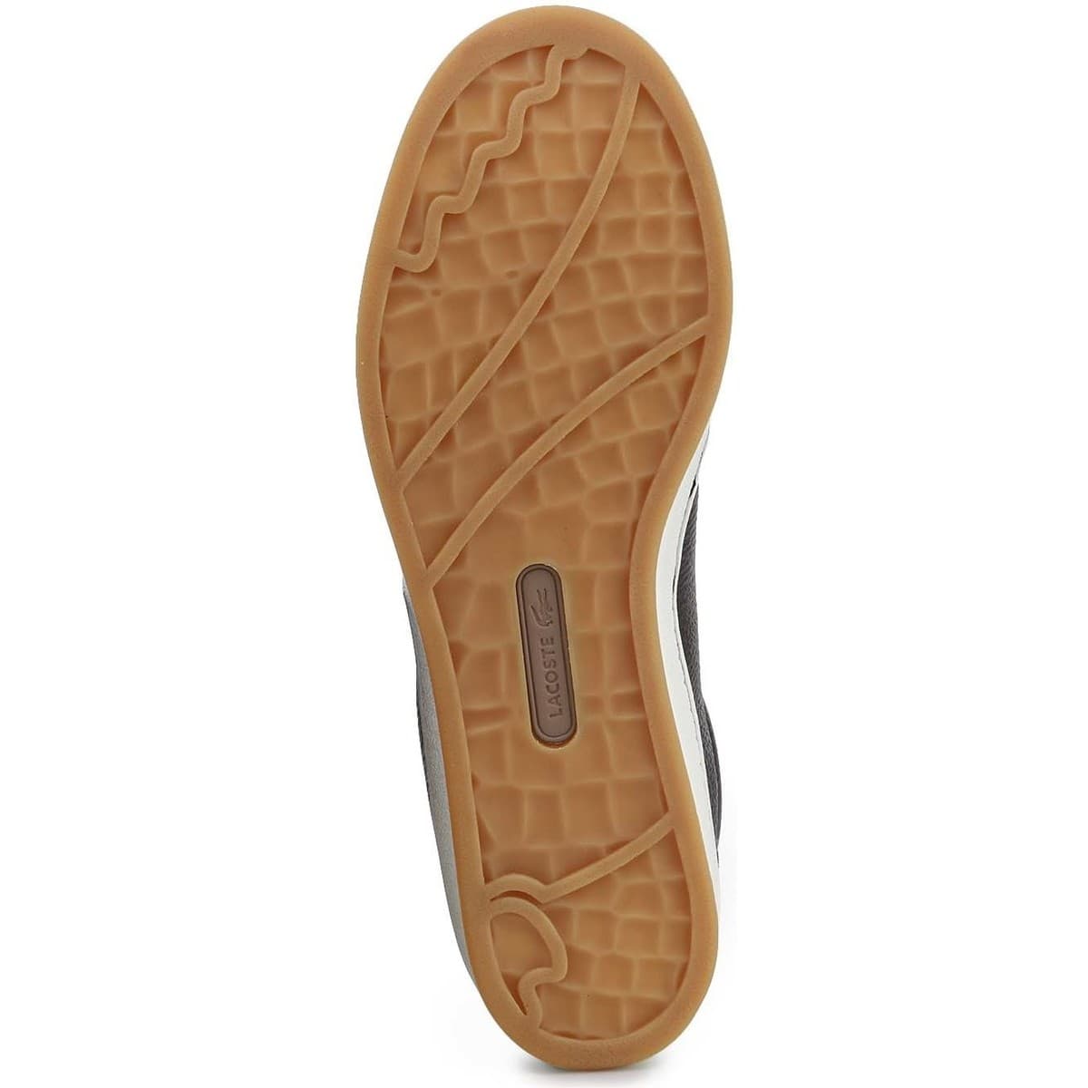 Men's Sneakers Lacoste Brown