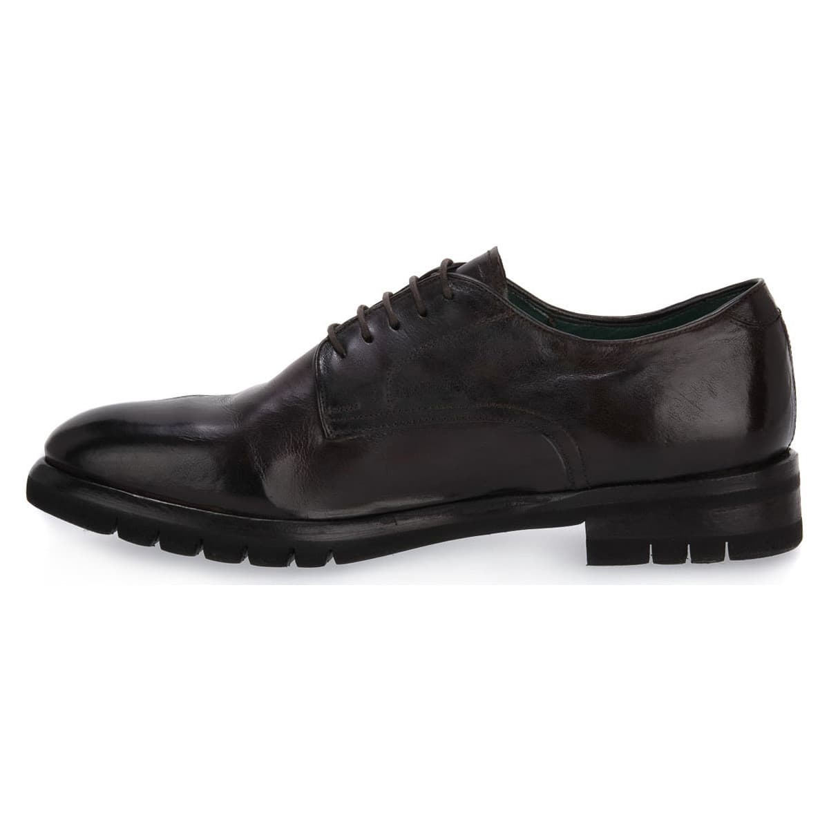 Men's Derby Shoes Calpierre Brown