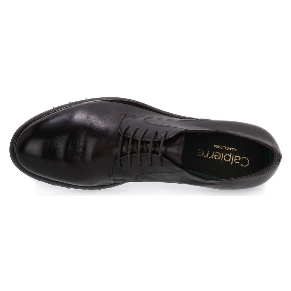 Men's Derby Shoes Calpierre Brown