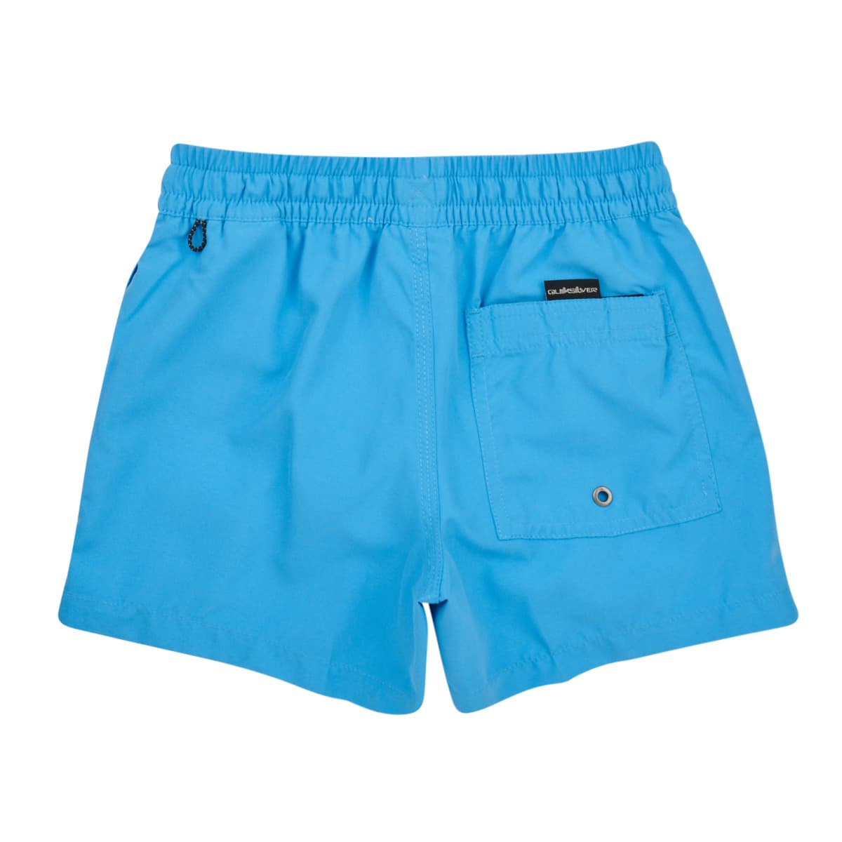 Boys' Swimwear Quiksilver Blue