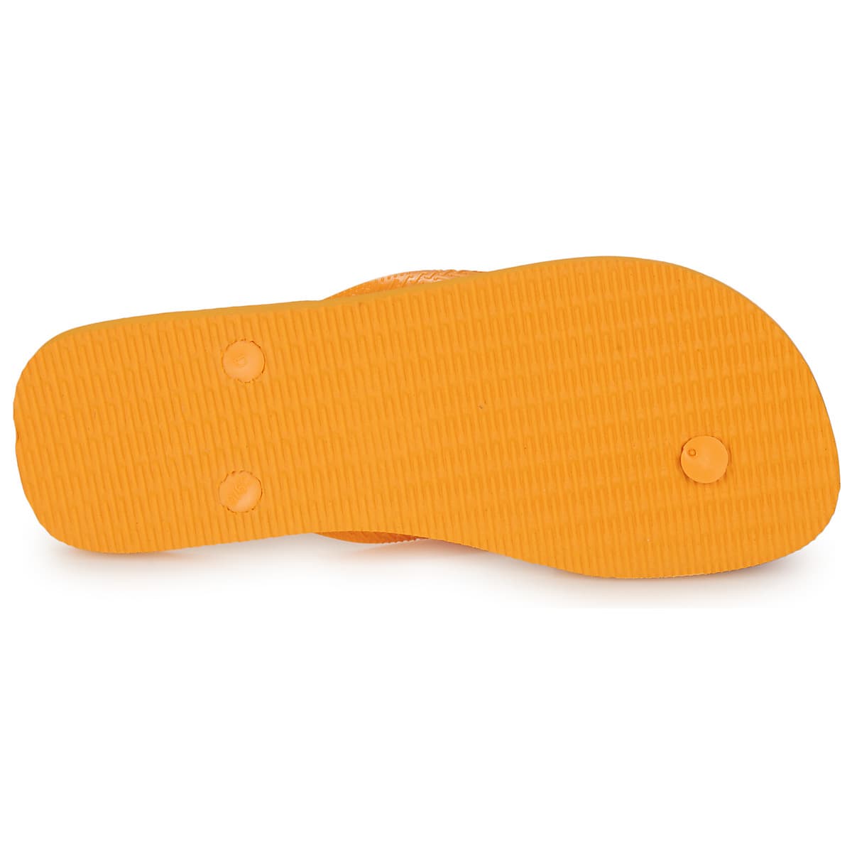 Women's Flip Flops Havaianas Orange