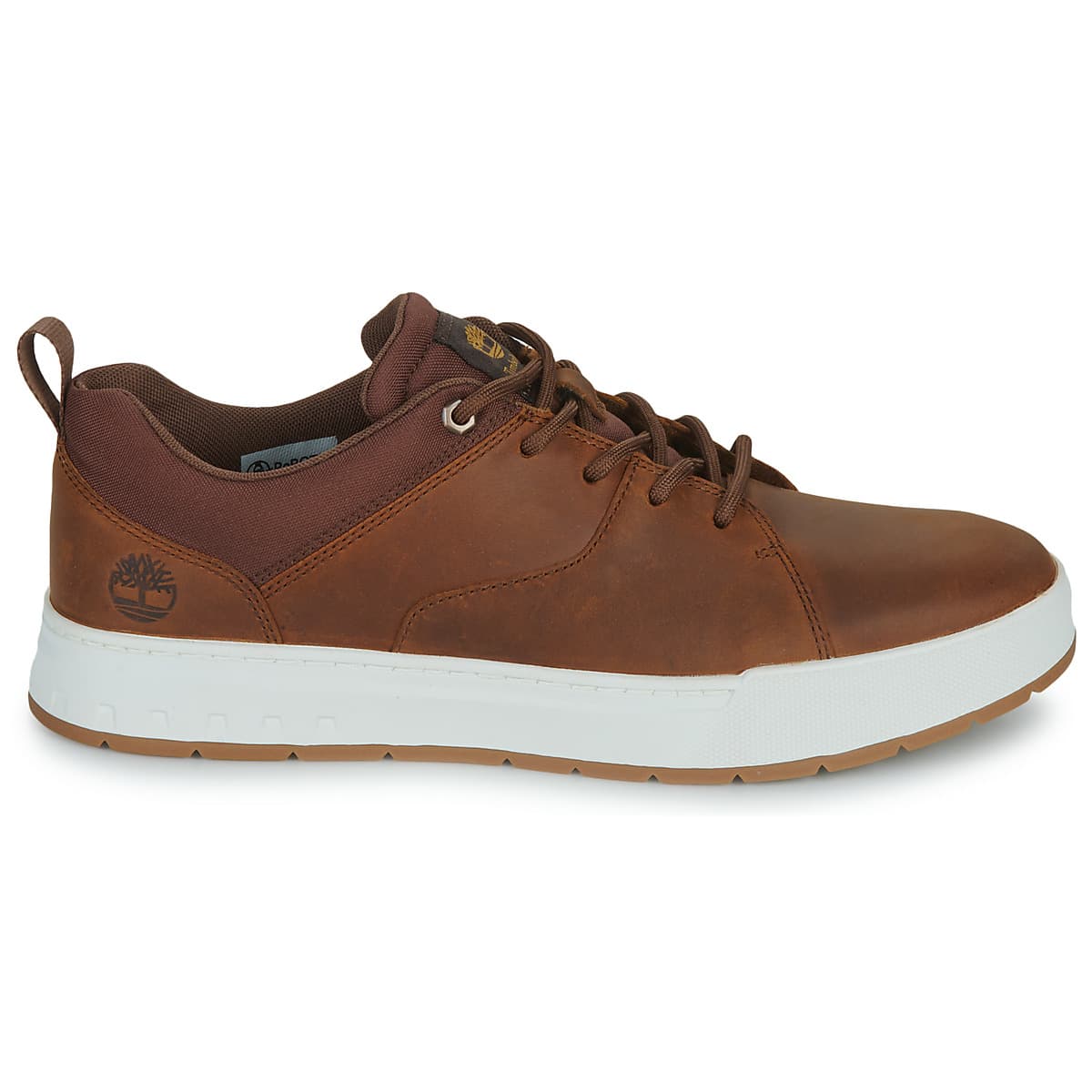Men's Sneakers Timberland Brown