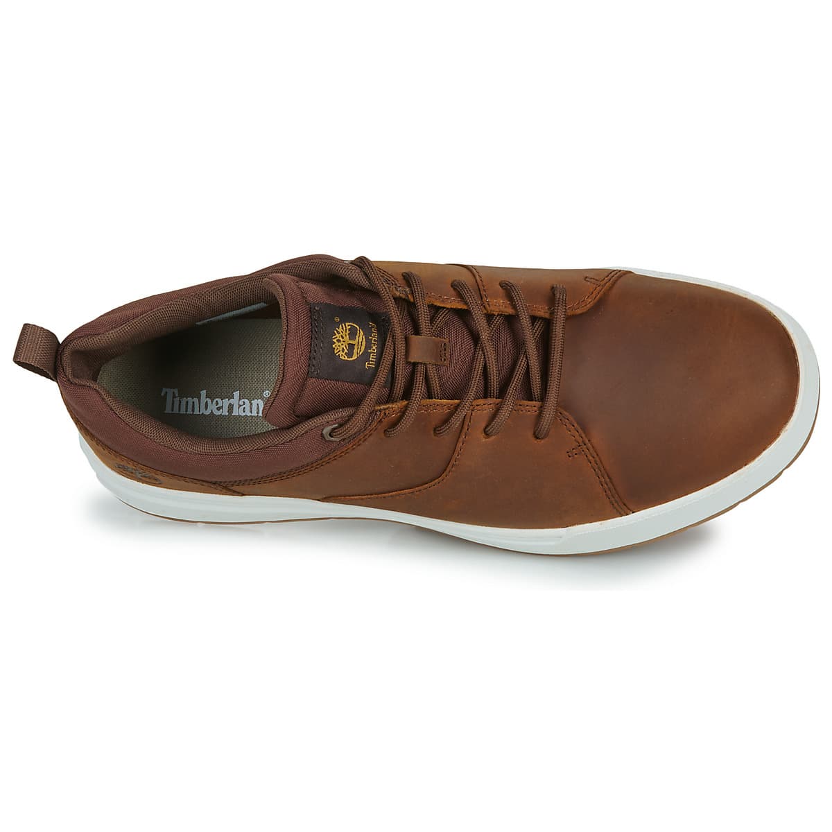 Men's Sneakers Timberland Brown