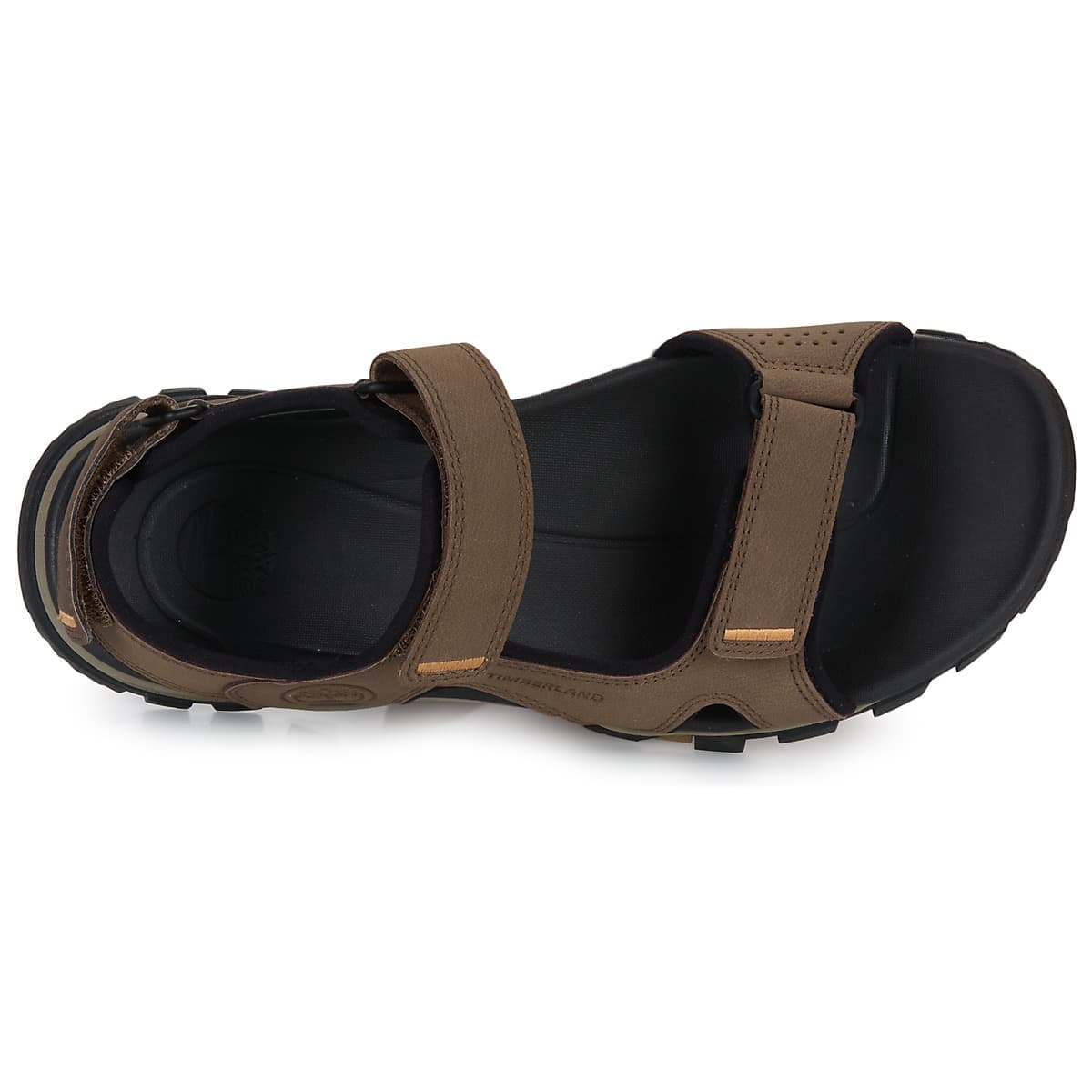 Men's Sandals Timberland Brown