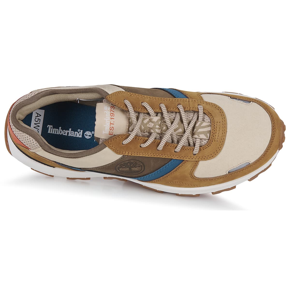 Men's Sneakers Timberland Brown