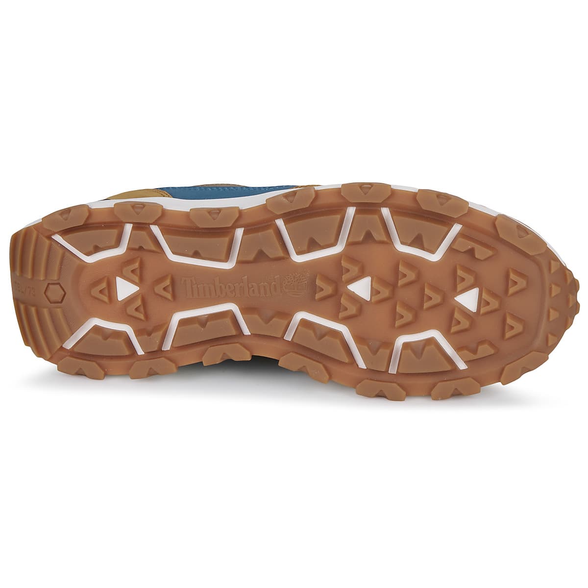 Men's Sneakers Timberland Brown