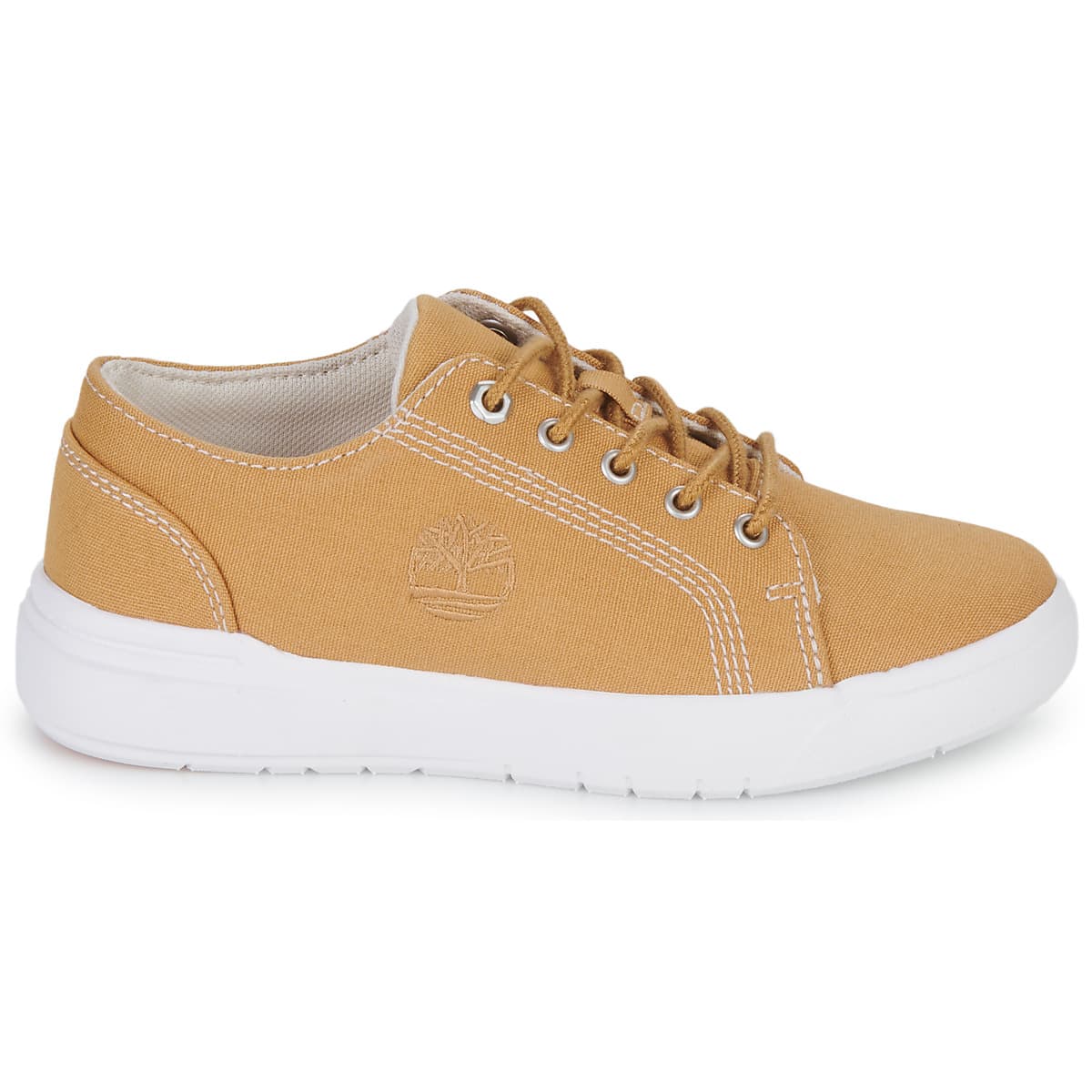 Boys' Sneakers Timberland Beige