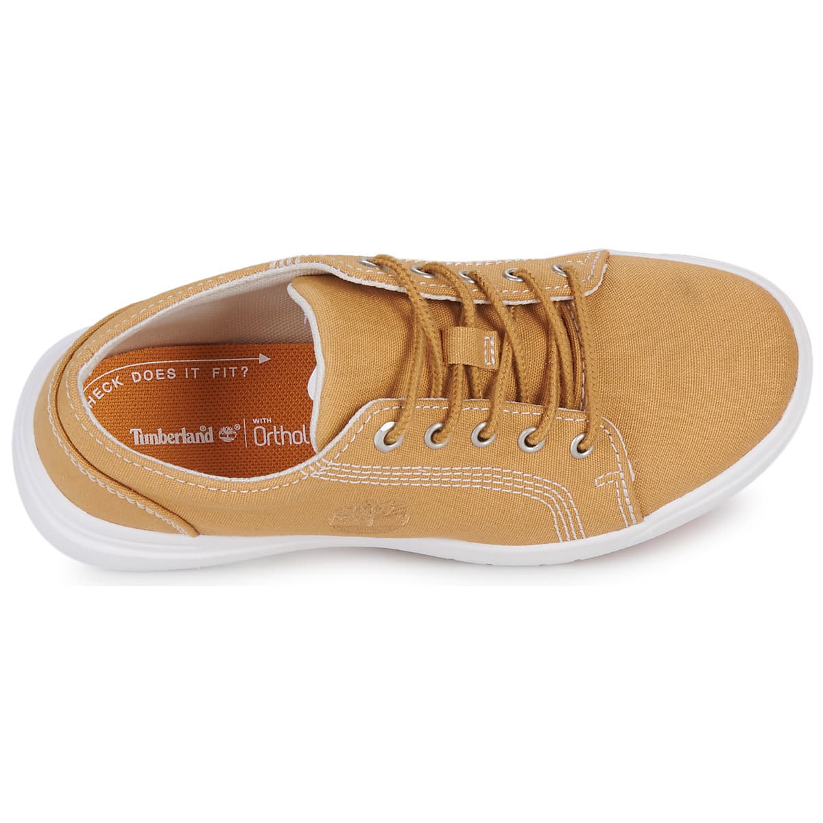 Boys' Sneakers Timberland Beige