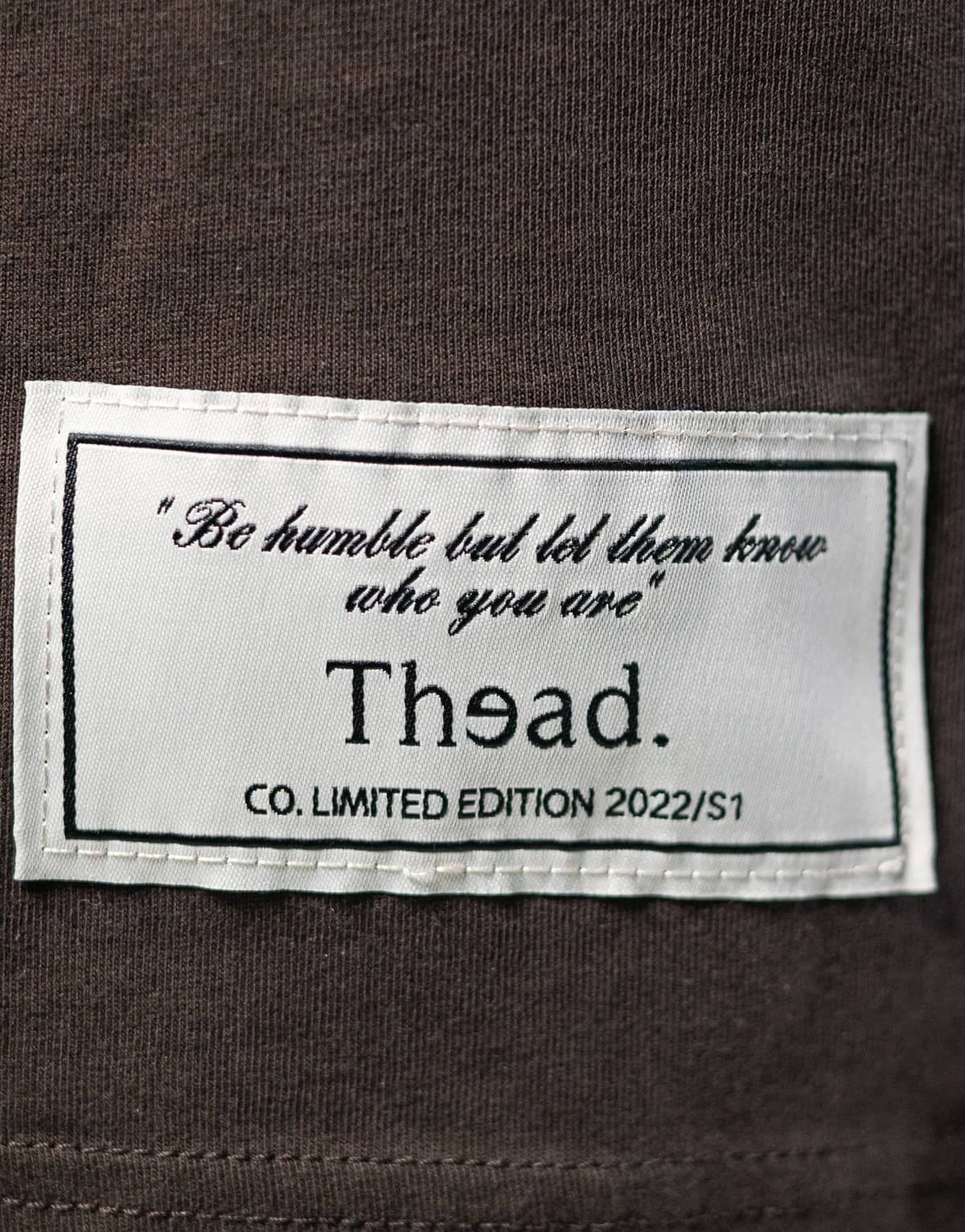 Men's T-Shirts THEAD. Brown