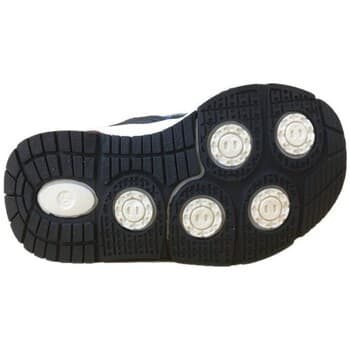 Boys' Sneakers Lumberjack Blue