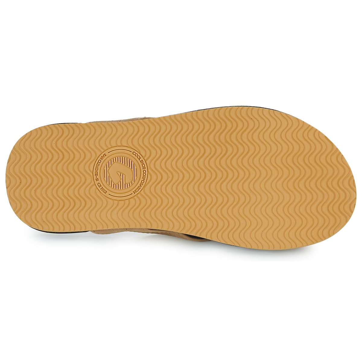 Men's Flip Flops Cool shoe Blue