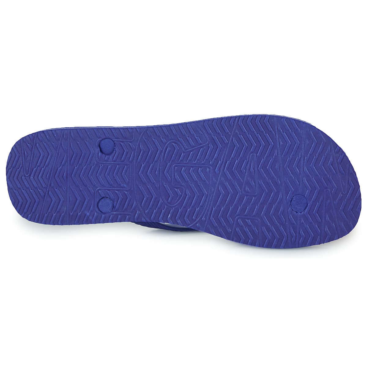 Men's Flip Flops Superdry Blue