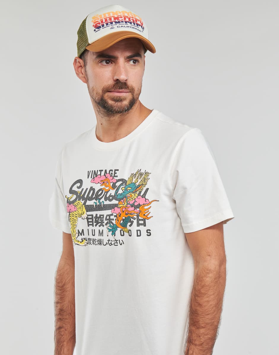 Women's Caps Superdry Brown