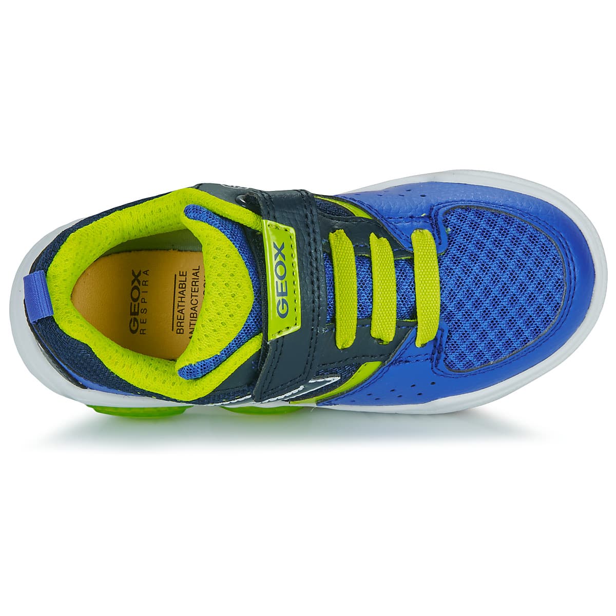 Boys' Sneakers Geox Blue