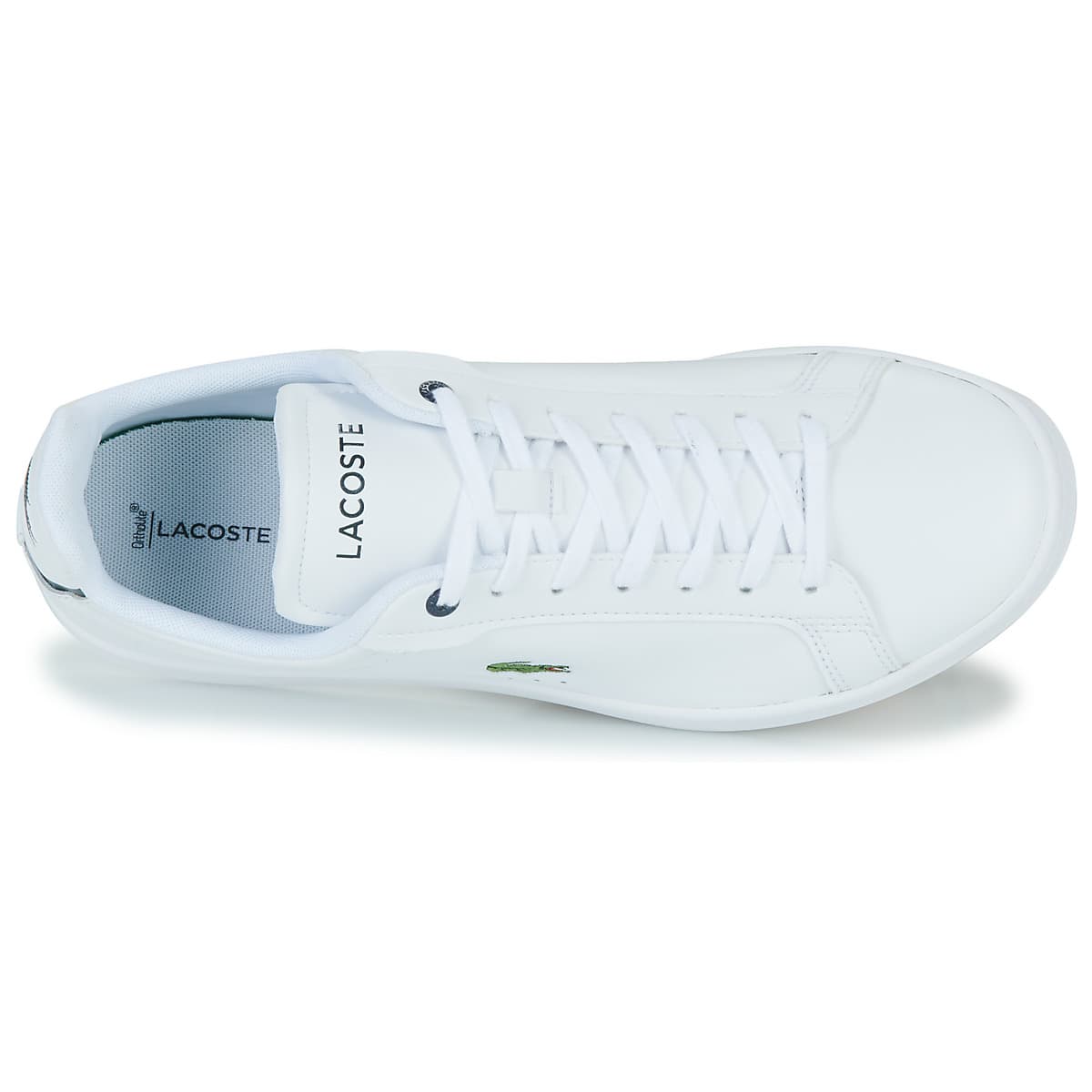Men's Sneakers Lacoste White
