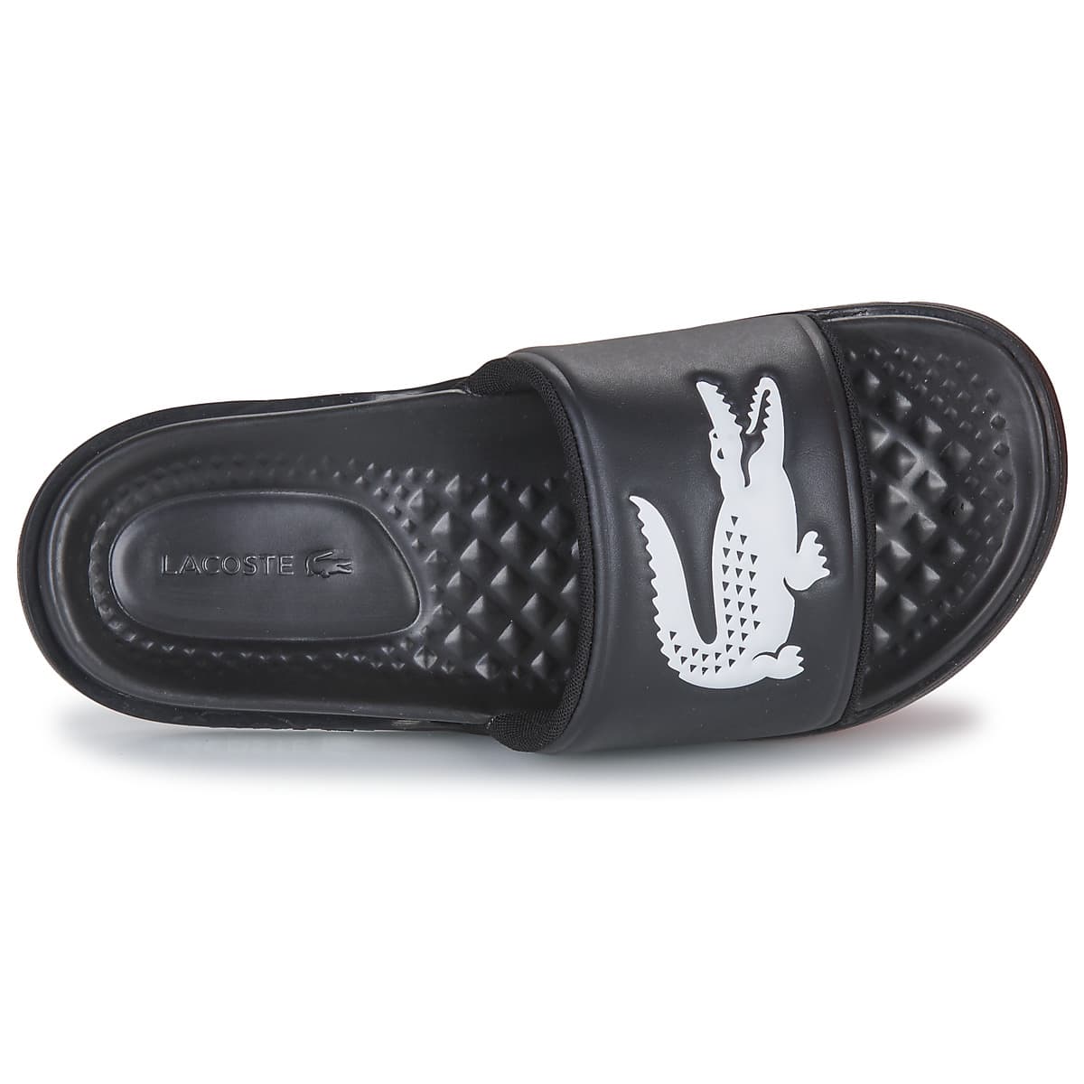 Men's Flip Flops Lacoste Black