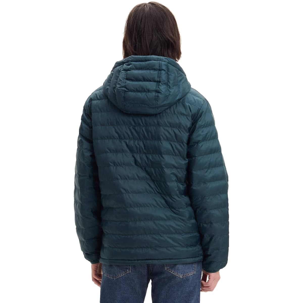 Men's Parkas Levis Green