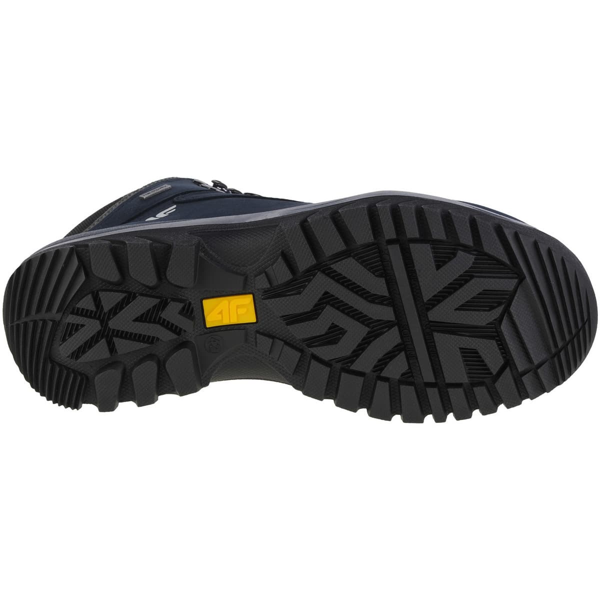 Men's Outdoor Shoes 4F Blue