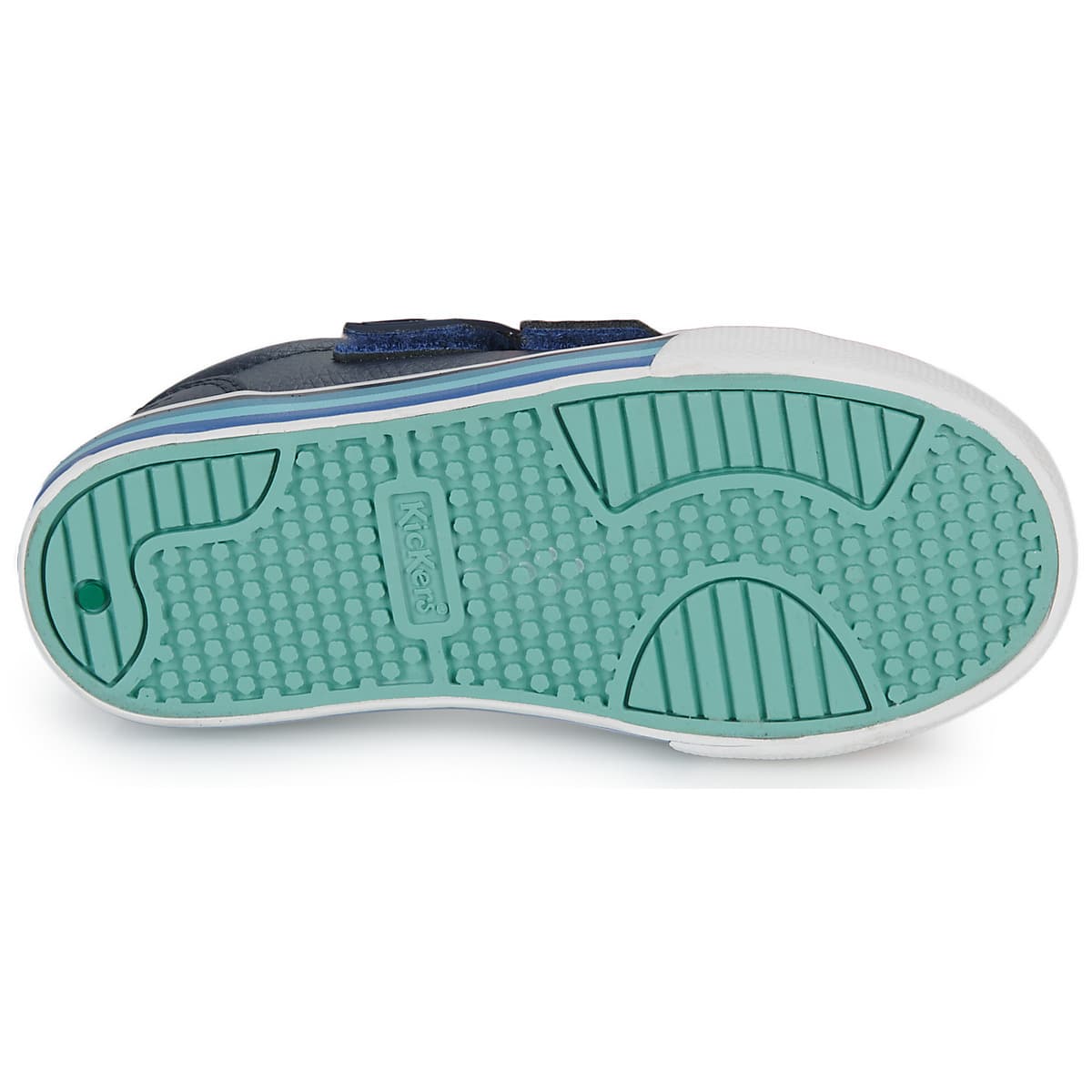 Boys' Sneakers Kickers Blue