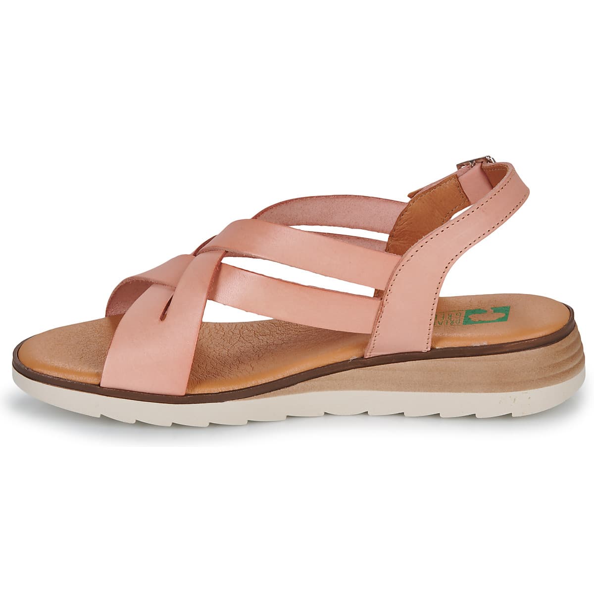 Women's Platforms Dream in Green Pink