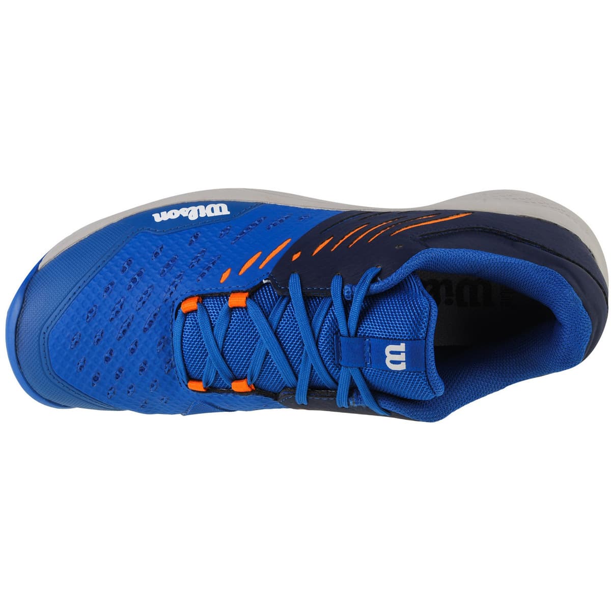 Men's Gym Shoes Wilson Blue