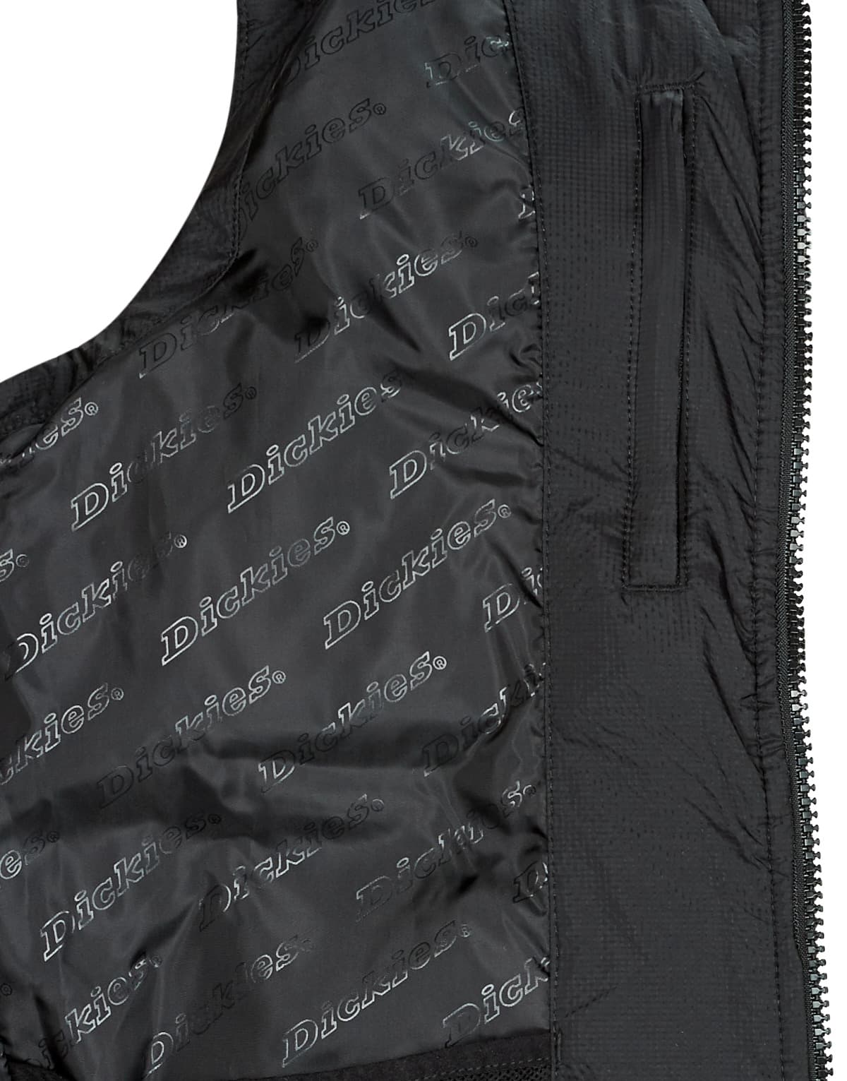 Men's Jackets Dickies Black