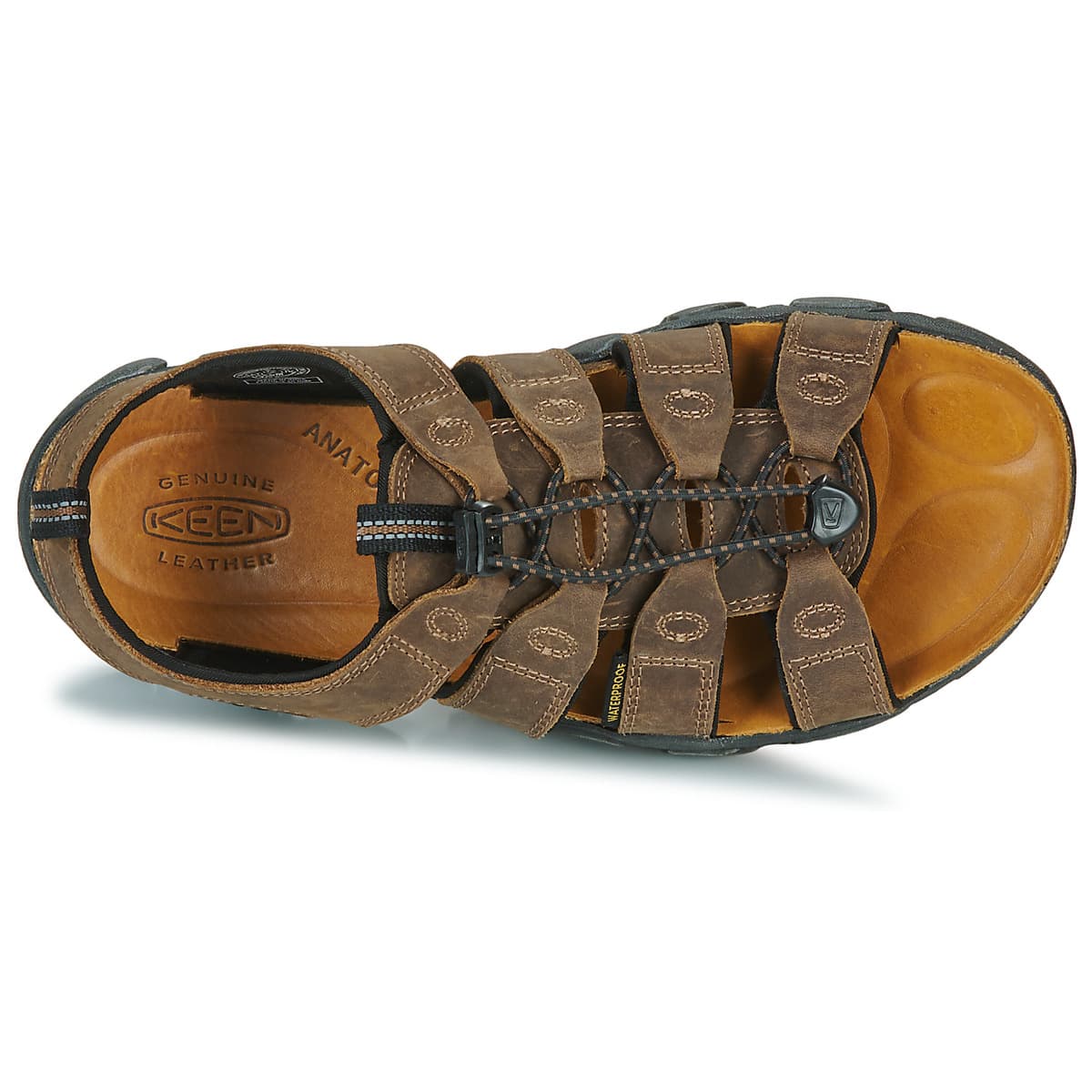 Men's Sports Sandals Keen Brown
