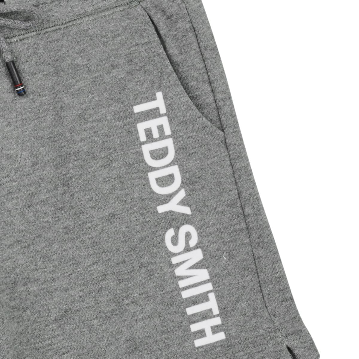 Boys' Shorts Teddy Smith Gray