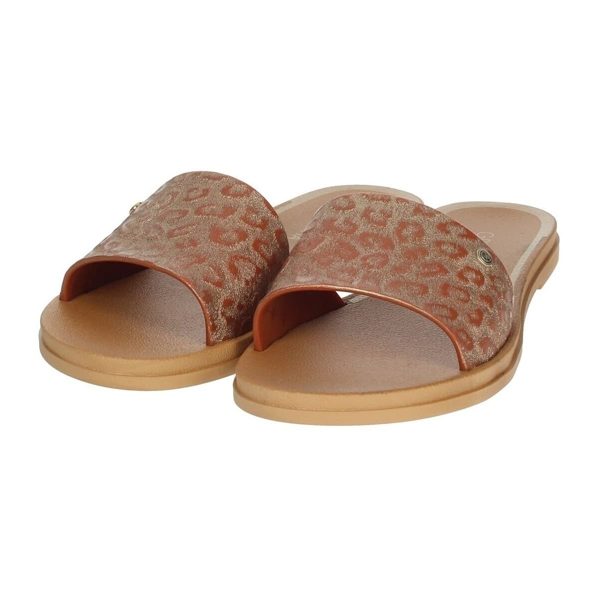 Women's Flip Flops Grendha Brown