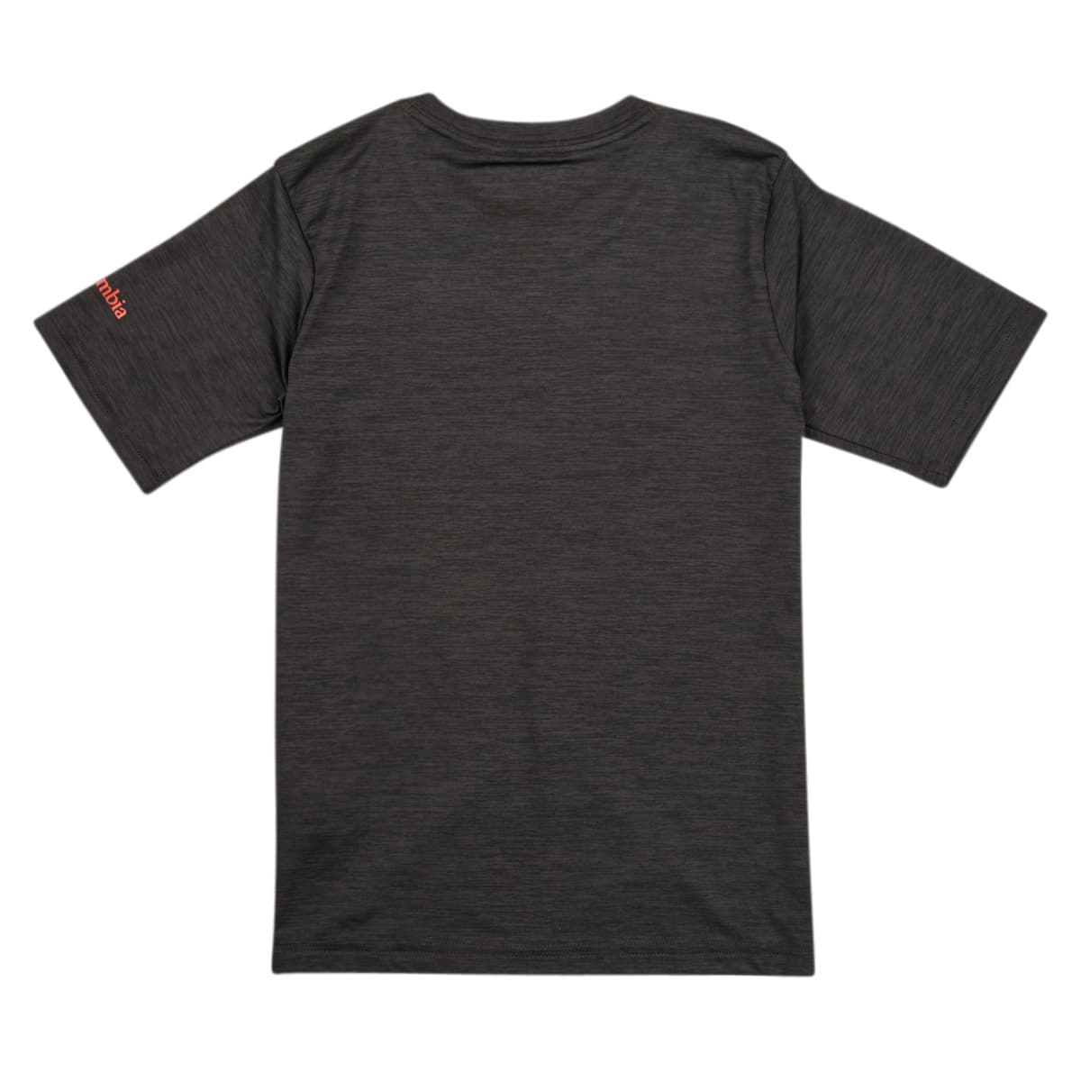 Boys' T-Shirts Columbia Gray