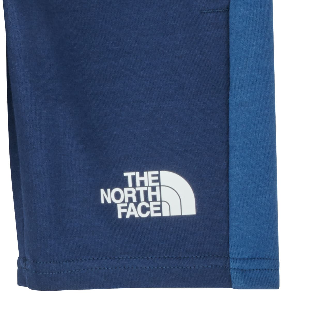Boys' Shorts The North Face Blue