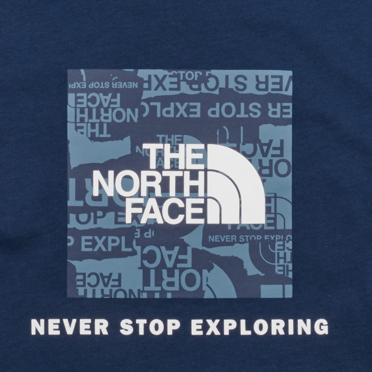 Boys' T-Shirts The North Face Blue