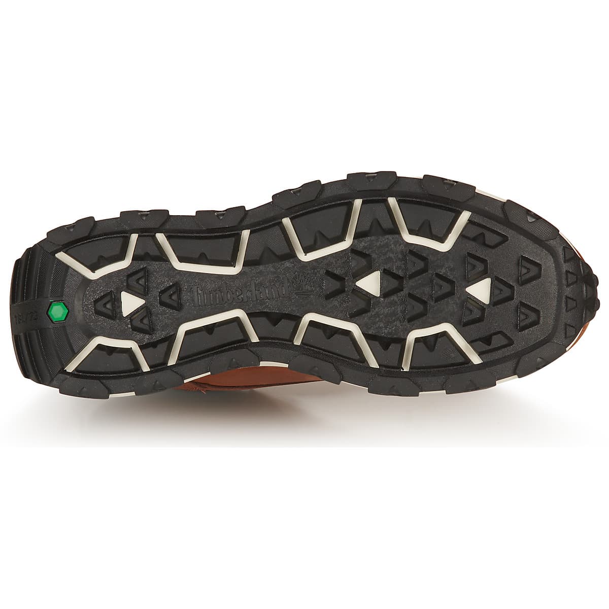 Men's Sneakers Timberland Brown