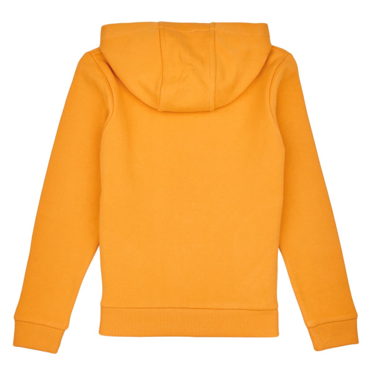 Boys' Hoodies & Sweatshirts Timberland Orange