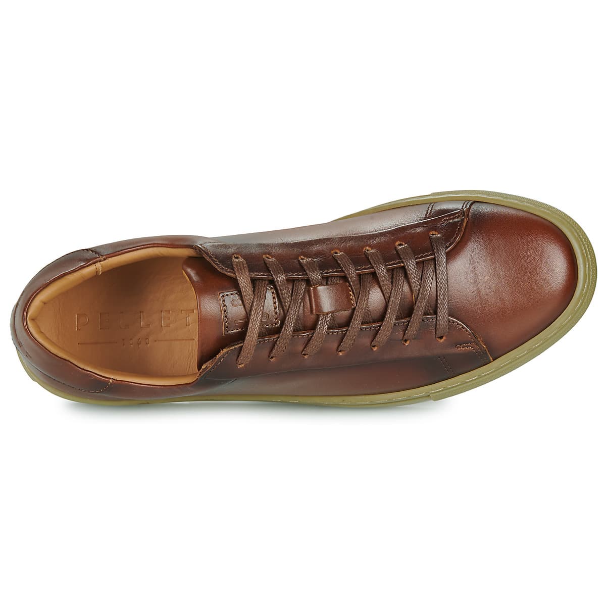 Men's Sneakers Pellet Brown