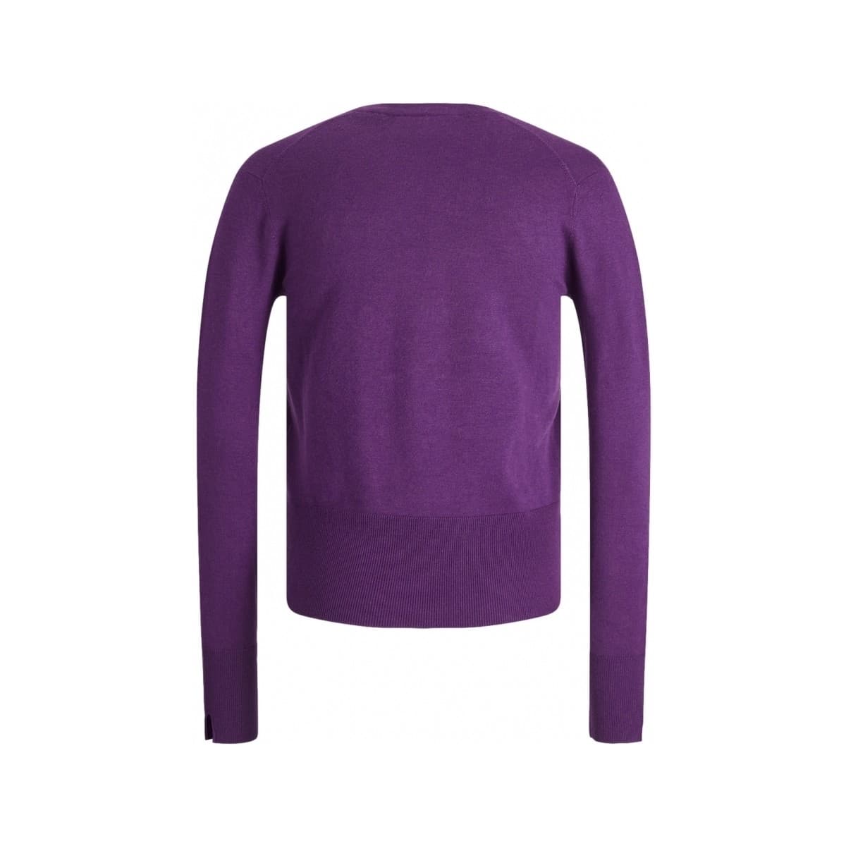 Women's Sweaters JJXX Purple