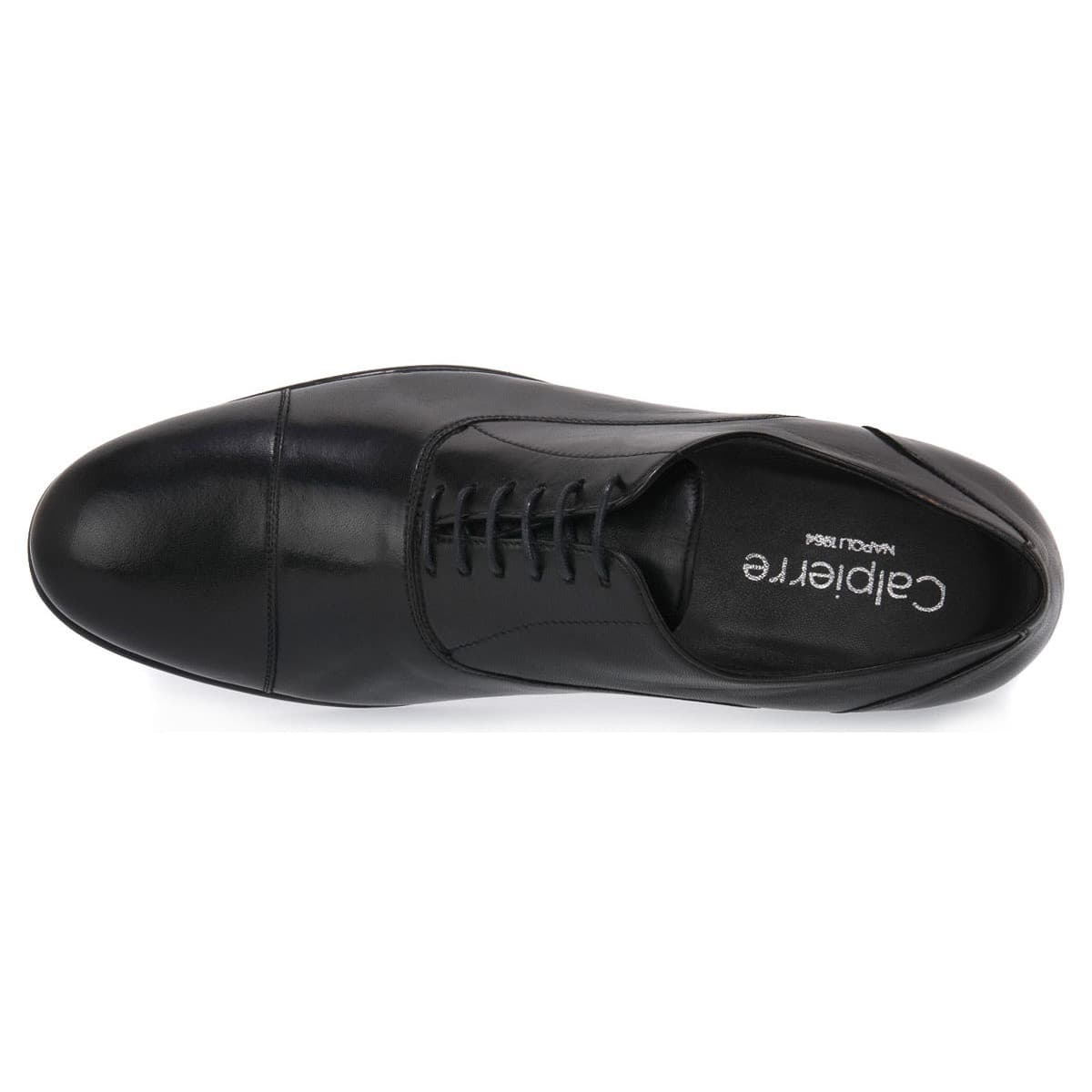 Men's Derby Shoes Calpierre Black