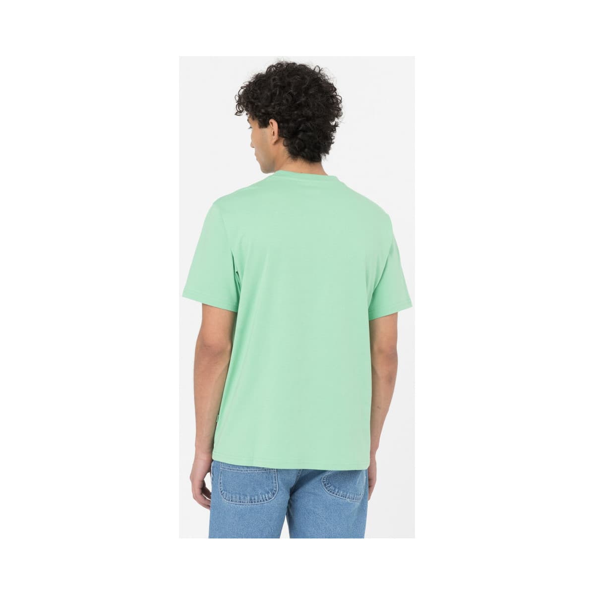 Men's T-Shirts Dickies Green