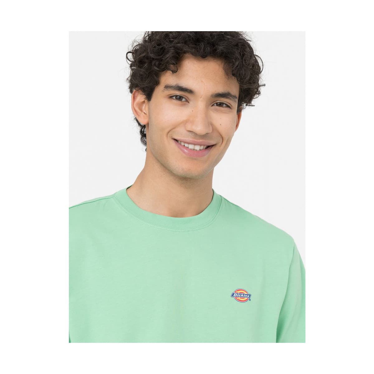 Men's T-Shirts Dickies Green