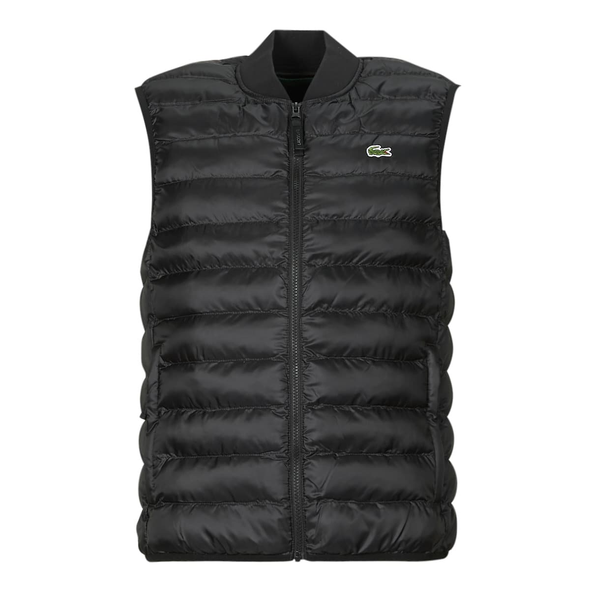 Men's Jackets Lacoste Green