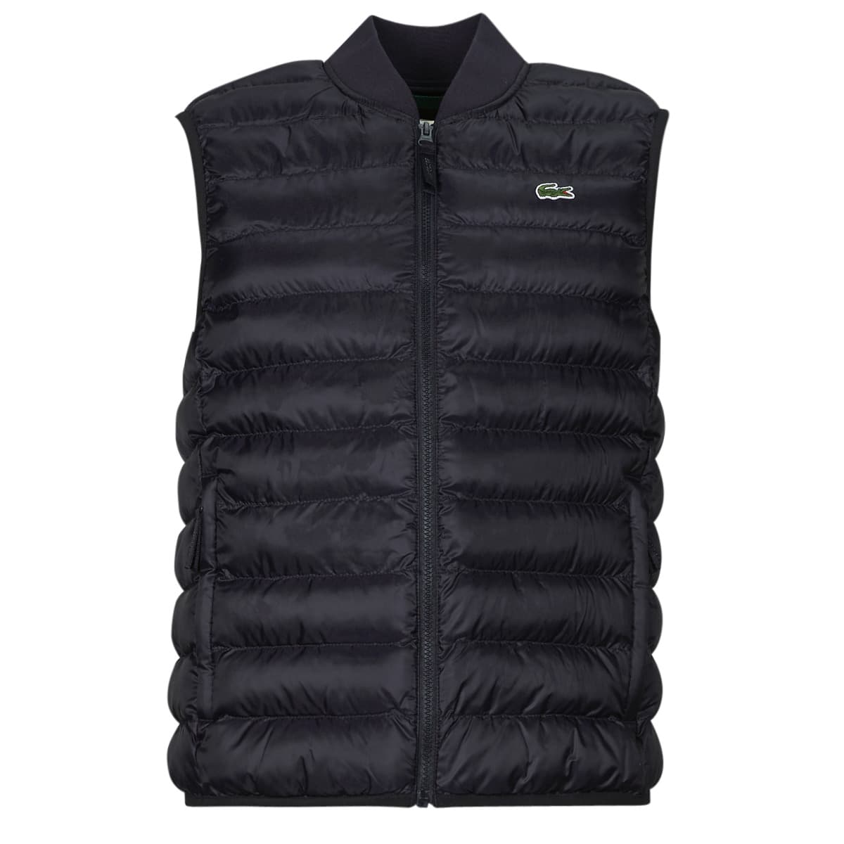 Men's Jackets Lacoste Green